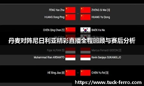 丹麦对阵尼日利亚精彩直播全程回顾与赛后分析